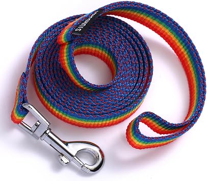 6 FT Puppy Leashes, Strong Traditional Style Leash with Easy to Use Collar Hook,Dog Lead Great for Small and Medium and Large Dog Rainbow, 5/8 in x 6 ft