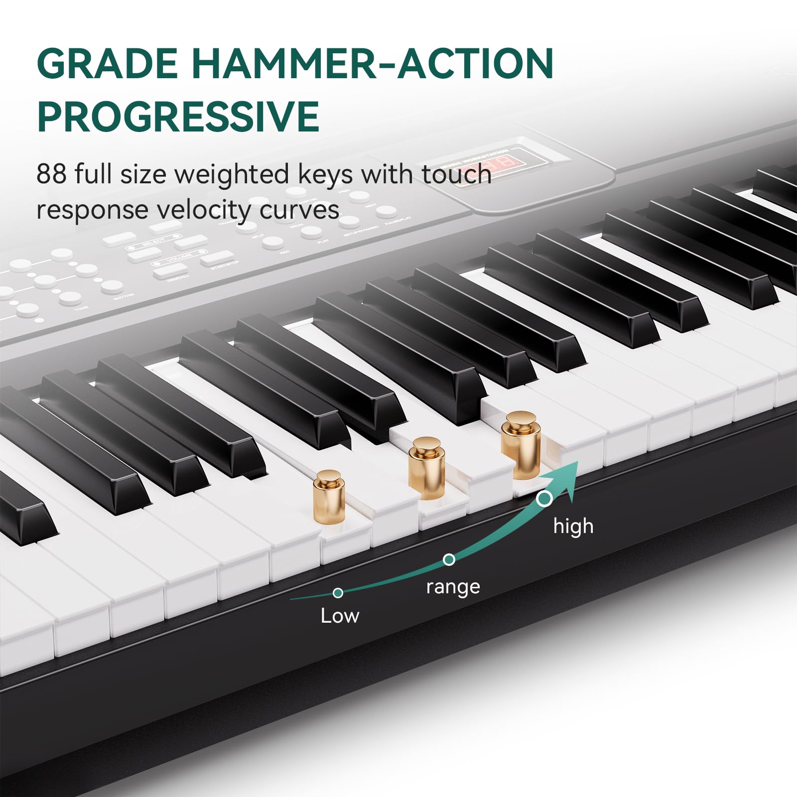 Rosen P51 tastiera pesata full size 88 tasti per principianti pianoforte digitale, pianoforte elettrico portatile con pedale di sostegno e alimentazione elettrica, nero