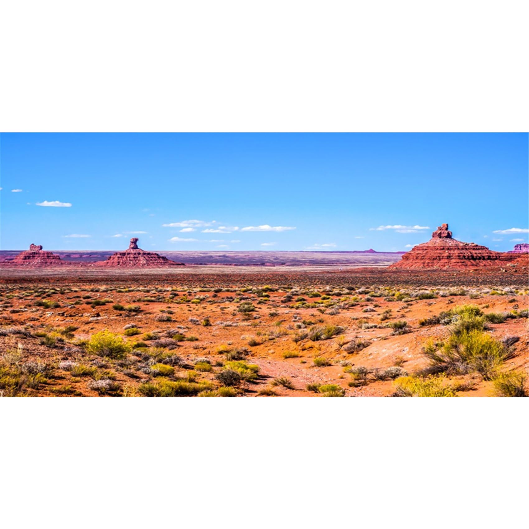 MIRRORANG 91x50cm Desert Terrarium Background Blue Sky Mountain Oasis Gobi Reptile Habitat Background Vinyl Background