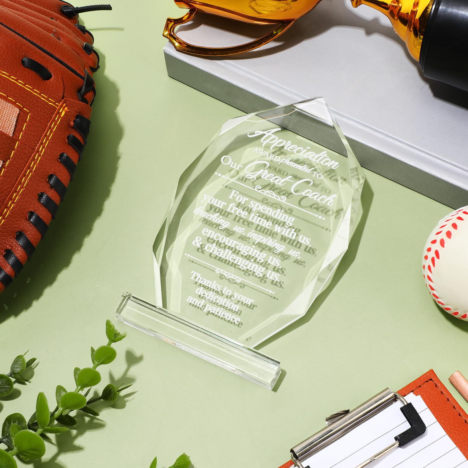 Panelee Coach Appreciation Gift Acrylic Coach Thank You Gifts Inspirational Appreciation Decor Acrylic Table Sign for Women Men Home Office Baseball Soccer Football Volleyball Team Gift