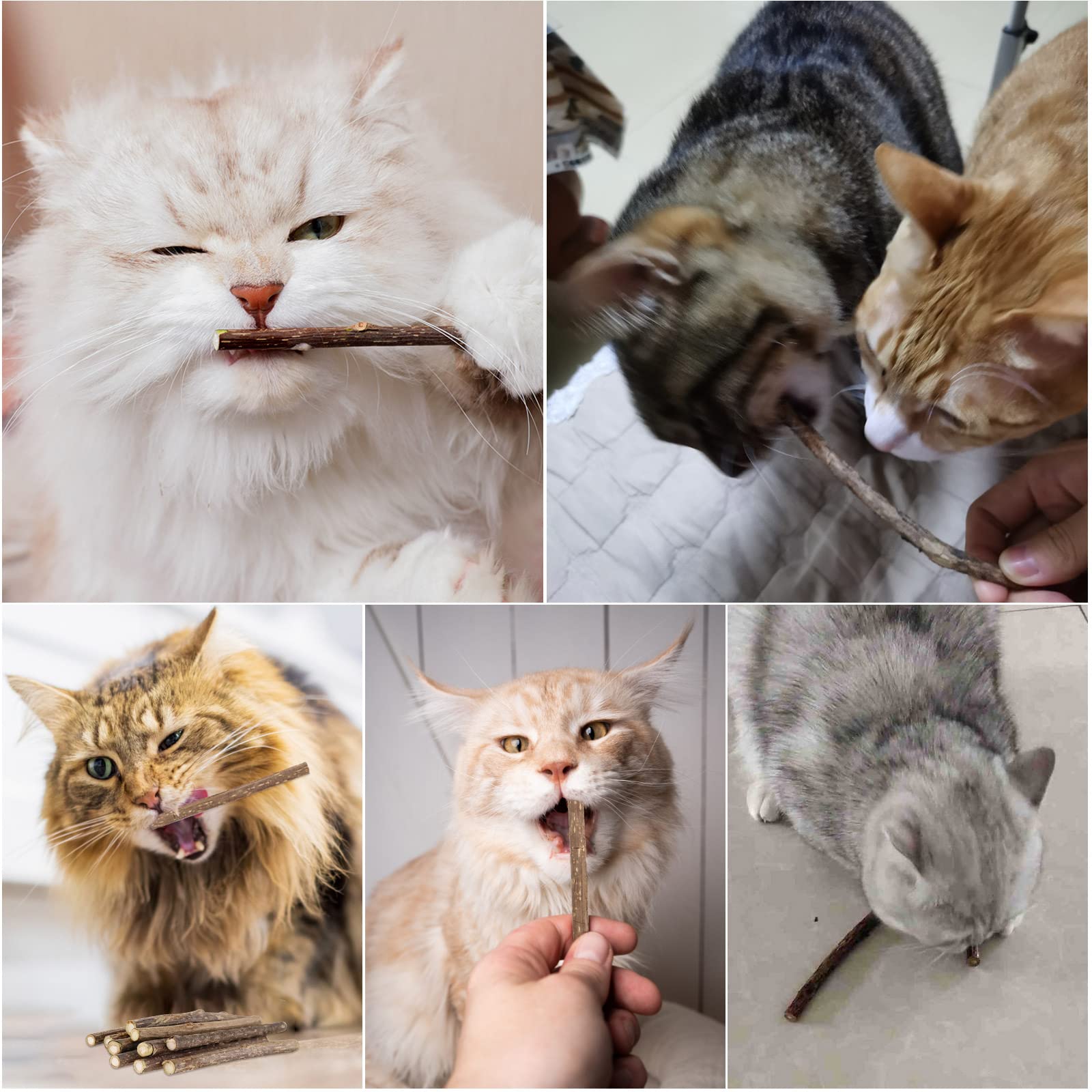Adiwo Kauwspeelgoed voor katten, 20 stuks kattenkruidstokjes, natuurlijke Matatabi Silvervine kauwsticks voor katten, kittens, tandreiniging en stressvermindering (8-10 mm