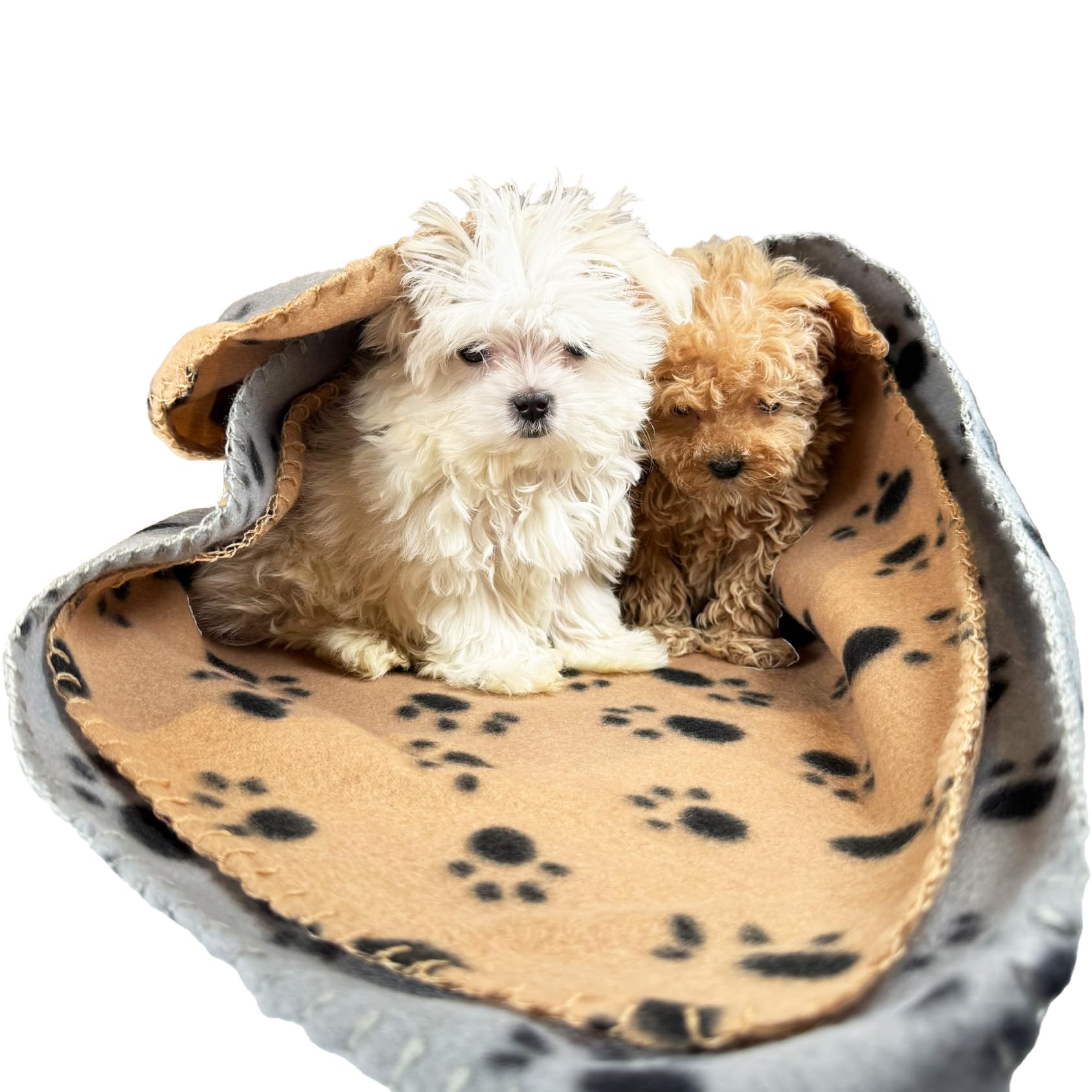 TBK Pets Double-Sided Fleece Pet Blanket, Soft Snuggle Blanket for Dogs and Cats Machine Washable (2 Grey, Brown, 55x40"/140x100cm)