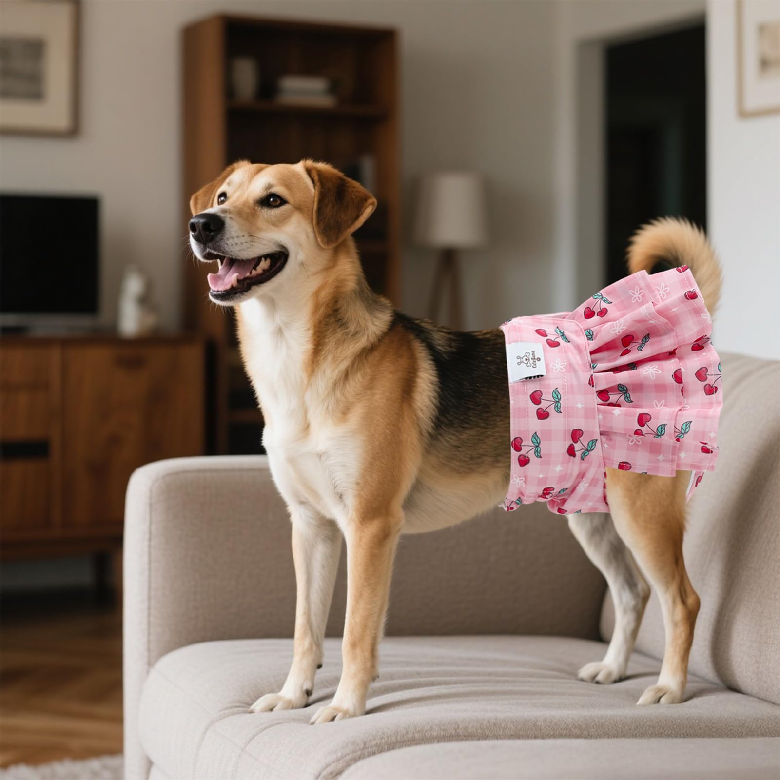 View 4