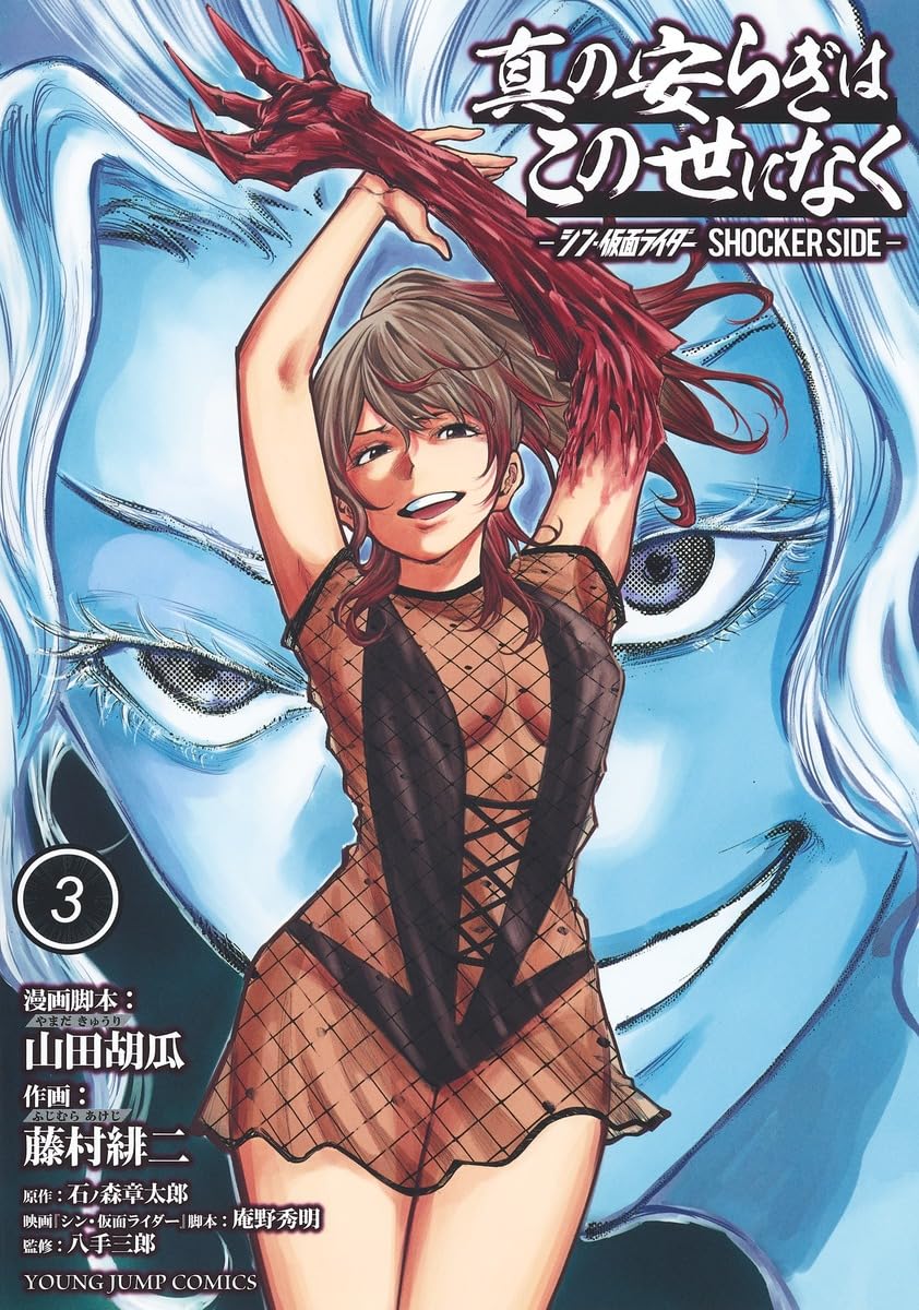 真の安らぎはこの世になく 3 ―シン・仮面ライダー SHOCKER SIDE
