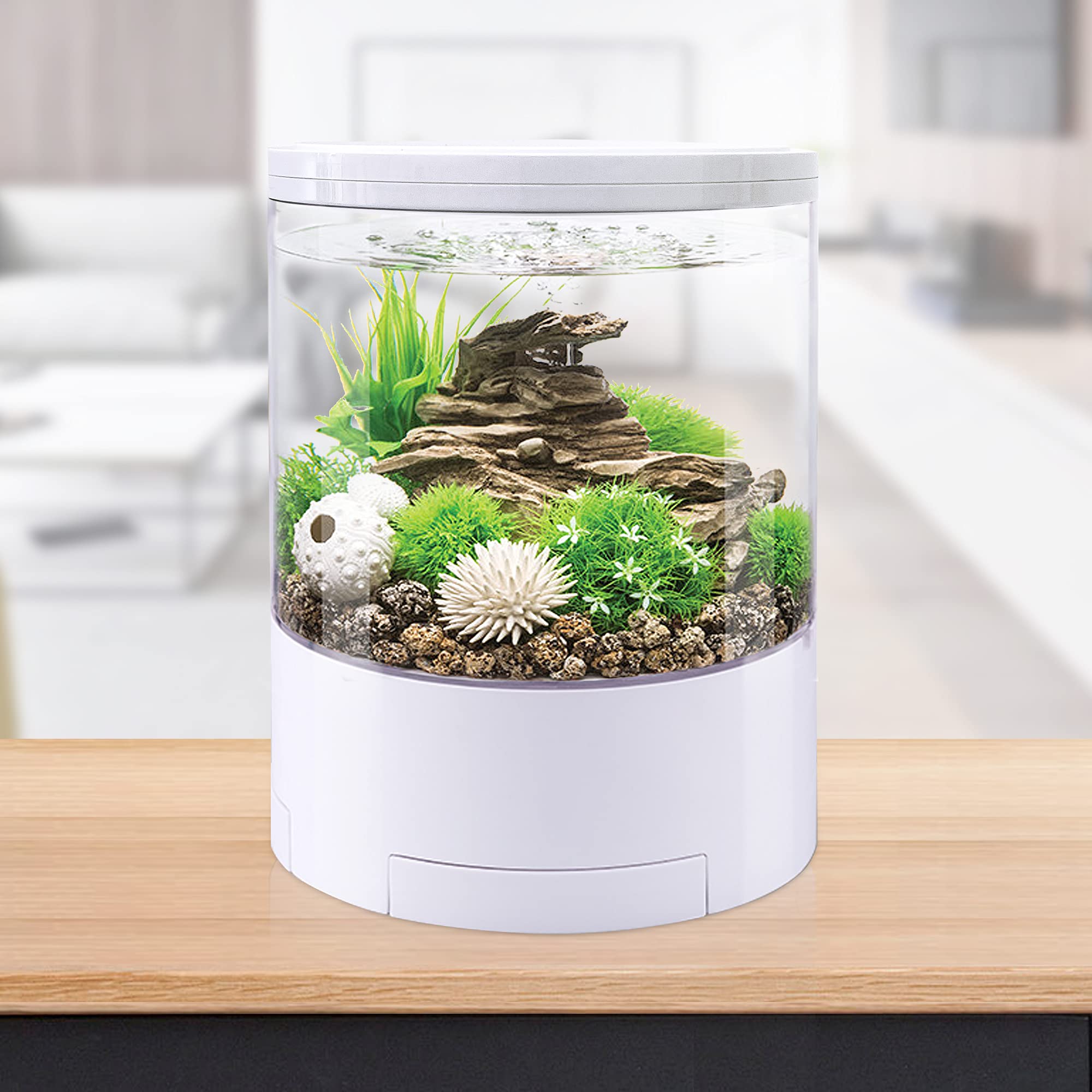 betta fish tank with filter