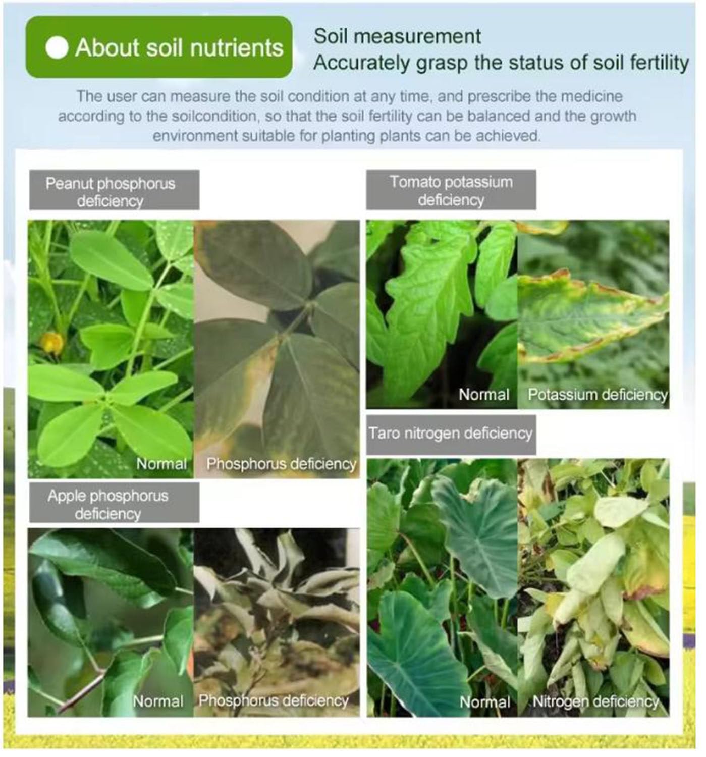 Tester del terreno multifunzionale 7 in 1, azoto, fosforo, potassio, tester NPK, pH, umidità, conduttività dei nutrienti, misuratore EC, test di fertilità del terreno