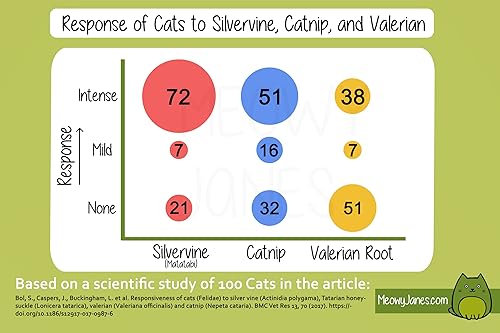 Miniatura 3 de Meowy Janes Matatabi - Palitos masticables – Un juguete natural para gatos y golosinas para gatos – Alternativa de hierba gatera