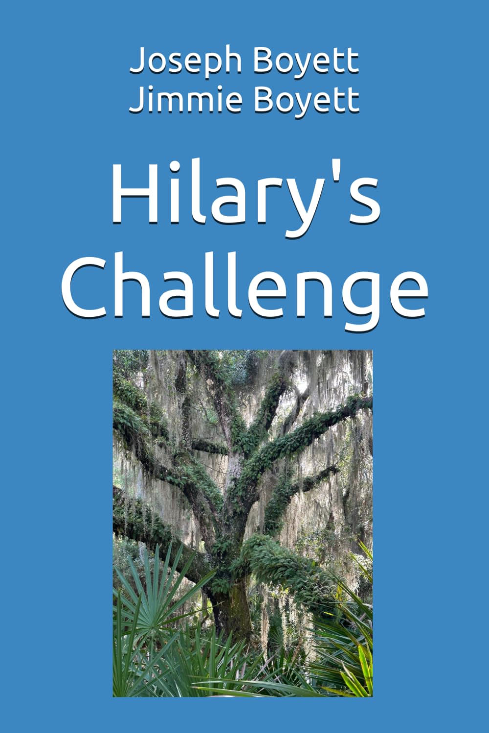 Hilary's Challenge (Hilary Mysteries)