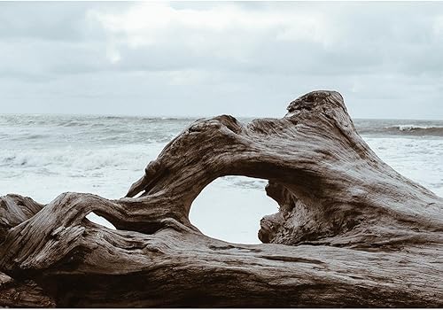 Miniatura 16 de wall26 - Coche rojo vintage en la calle - Mural de pared extraíble | Papel tapiz autoadhesivo grande - 66x96 pulgadas obra de arte 22,obra de arte