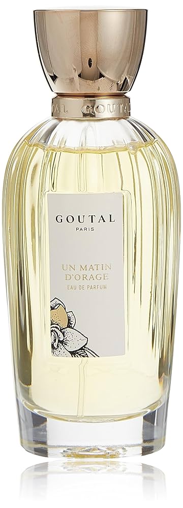香水(女性用) UN MATIN D'ORANGE 100ml ANNICK GOUTAL Amazon.com : Annick Goutal Un Matin D'orage Women's Eau de