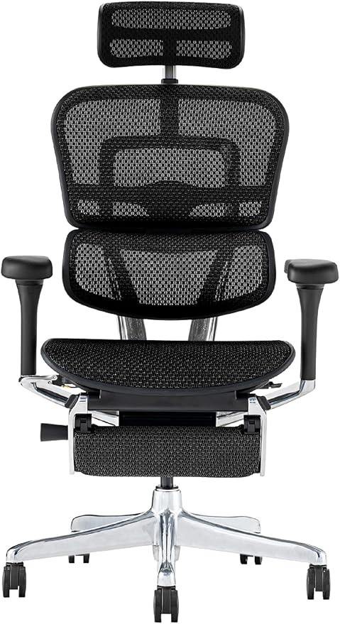 エルゴヒューマン2(Ergohuman2) オフィスチェア ヘッドレスト付き オットマン内蔵 昇降式 メモリーロッキング機能付き エラストリックメッシュ PUキャスター プロ オットマン フレーム:ブラック メッシュ:ブラック EHP2-LPL-DR-BF-BK(PU) 関家具 445396
