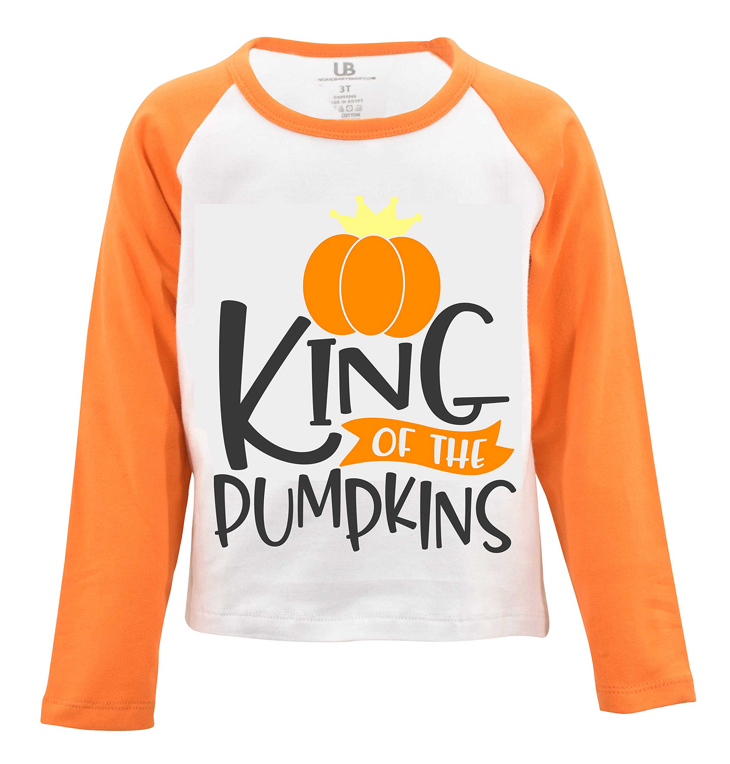 Unique Baby Boys Long Sleeve Raglan Graphic T-Shirt for Toddlers and Kids