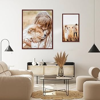 Amazon.com - Dark Walnut 20x27 Frame - Single Frame - Rustic