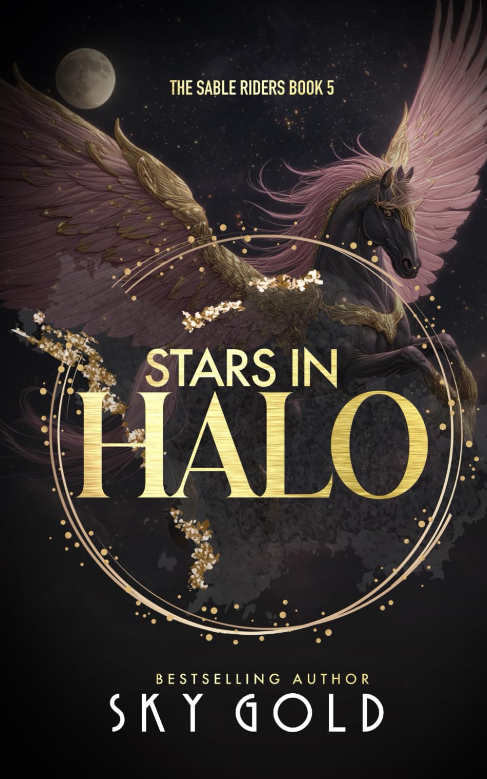 Stars in Halo: An Anti-Hero Paranormal Romance: 5 (The Sable Riders)