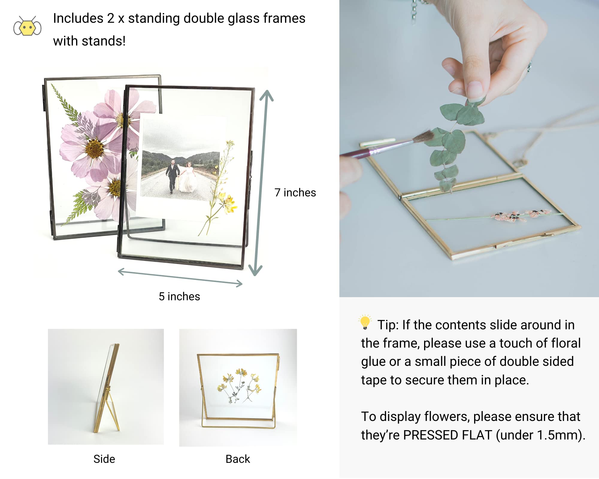 Beedecor Marco de cristal doble para flores prensadas, fotos Polaroid y obras de arte, marcos de fotos de metal negro de 5 x 7 pulgadas, decoración del hogar, juego de 2 marcos de flores prensadas con