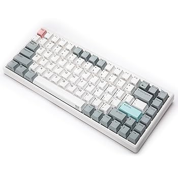 NIZ L84 　キーボード Amazon.co.jp: NiZキーボード Mini84-pro ワイヤレス 【2024新型