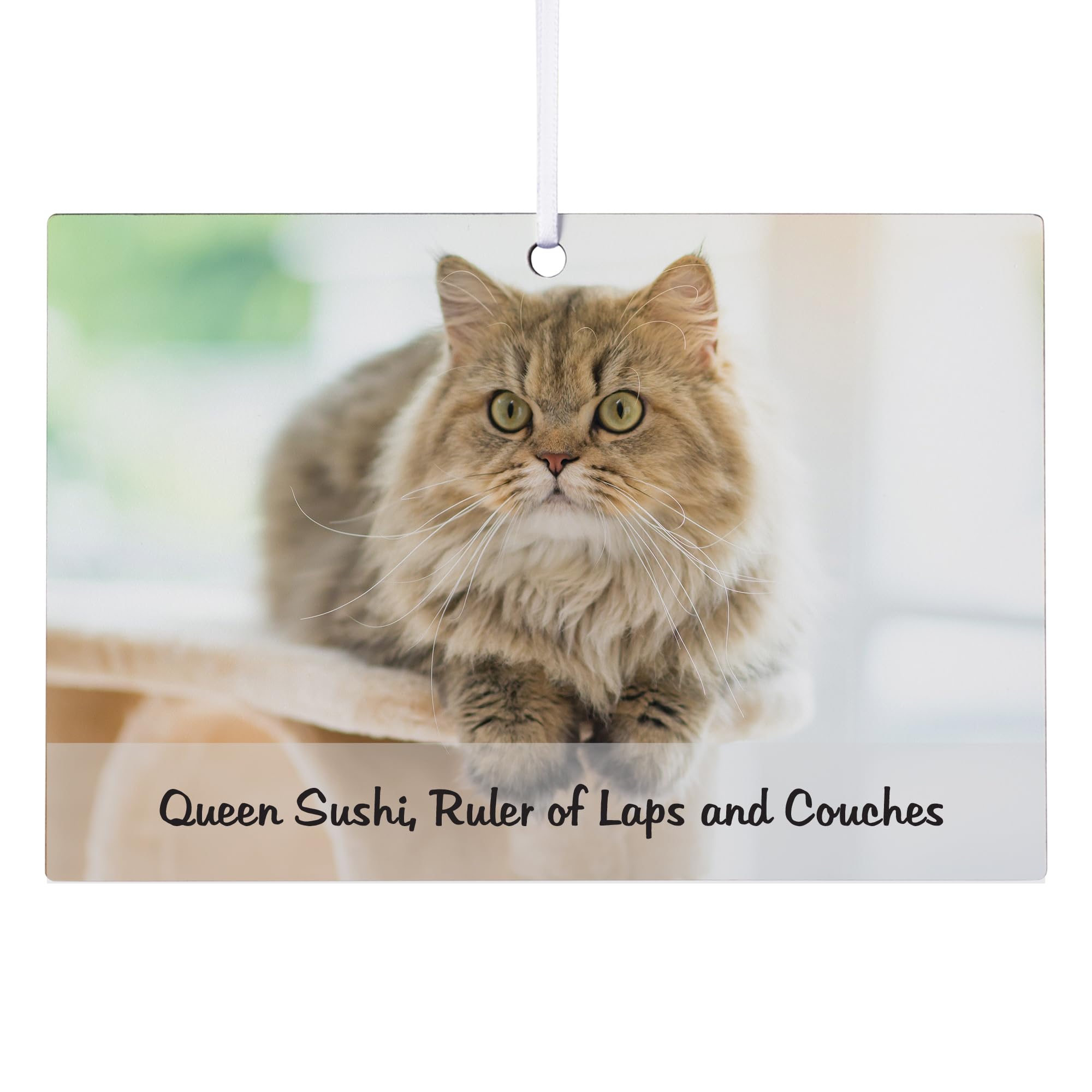 Let's Make Memories Personalized Pet Photo Rectangle Christmas Ornament - Dog/Cat - Furry Friends