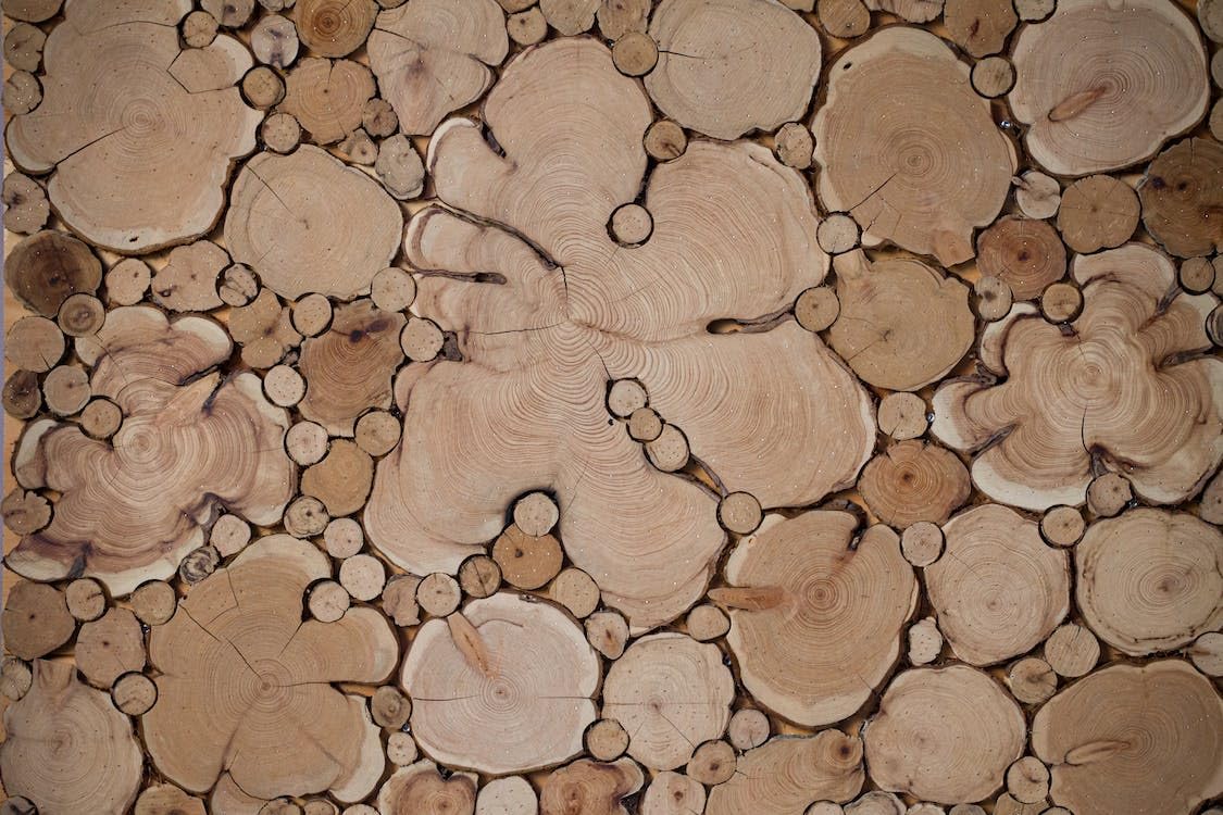 Ceppi d'albero in varie forme - Puzzle in legno da 4000 pezzi - Ottimo per il relax e per alleviare lo stress