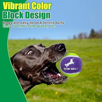 EXPAWLORER Squeaky Tennis Balls for Dogs-12 Pack High Elastic Dog Toy Balls