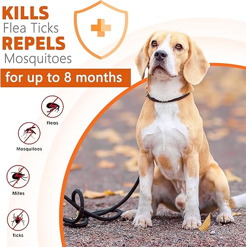 Miniatura 2 de Collar para pulgas y garrapatas para perros, prevención de 8 meses, 2 unidades, protección de ingredientes, impermeable, talla única