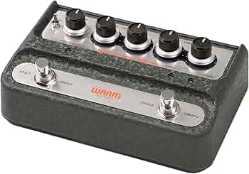 Warm Chorus Vibrate 訳あり Amazon.com: Warm Audio WA-C1 Analog Chorus Vibrato : Musical