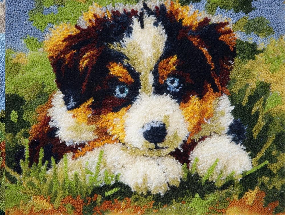 FWRTYCB Latch Hook Kits Rugs,Dogs On The Grass Pattern 20X15Inch