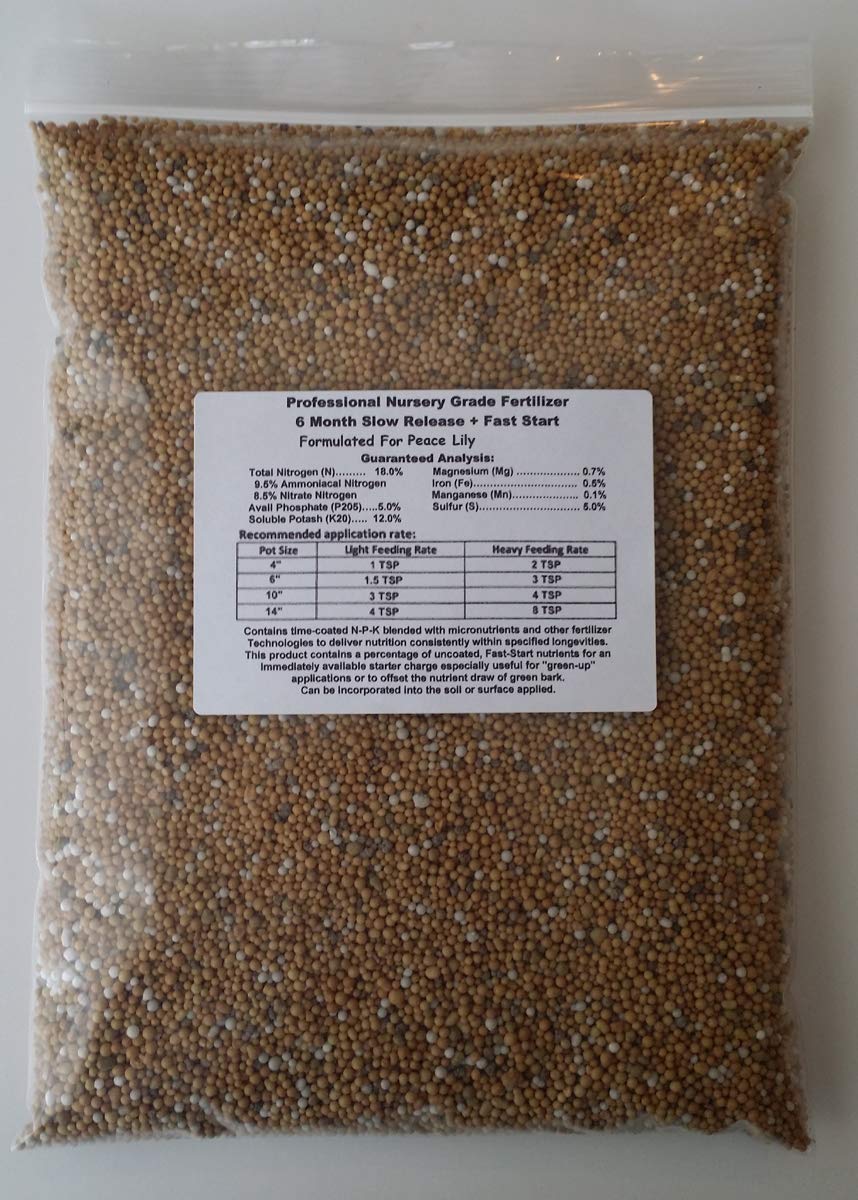 Amazon.com : Exotica Tropicals Professional Nursery Grade Peace