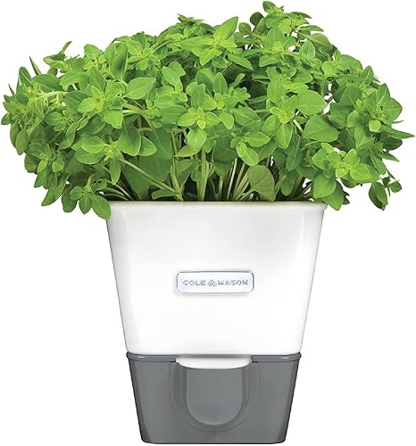 Cole & Mason Guardián de hierbas de agua autónoma, ahorrador de hierbas en maceta con almohadilla hidráulica y boquilla de vertido, conservador de