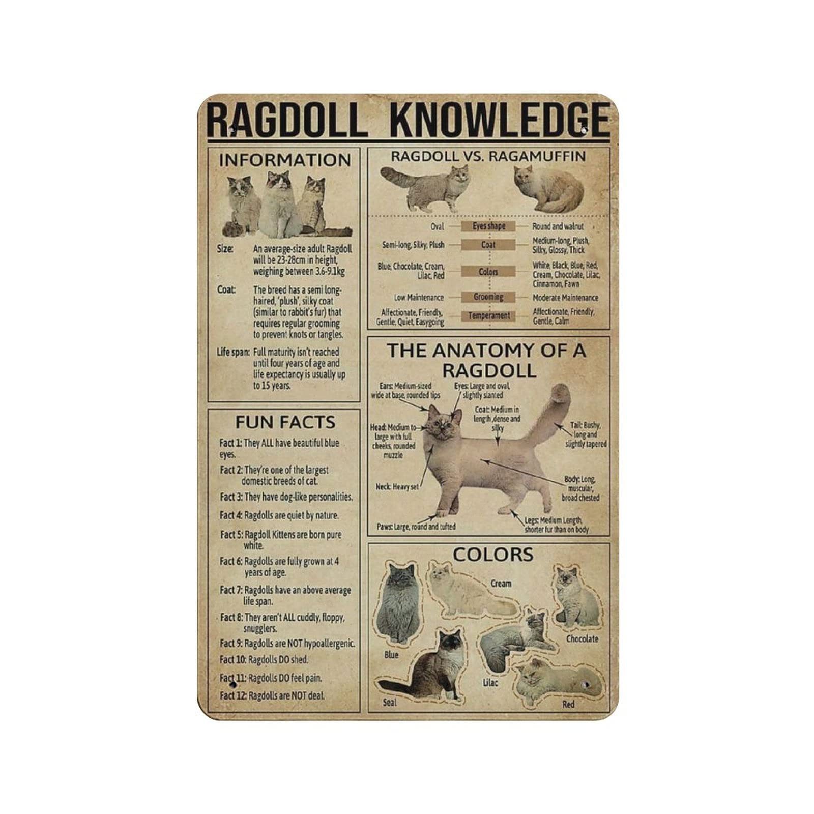 GQWJKSZ Ragdoll Cat Knowledge Vintage tin Sign Metal Poster Home Bar Cafe Club Garden Farm Decor Hanging Poster Retro Wall Art Prints 12x8in (30x20cm)