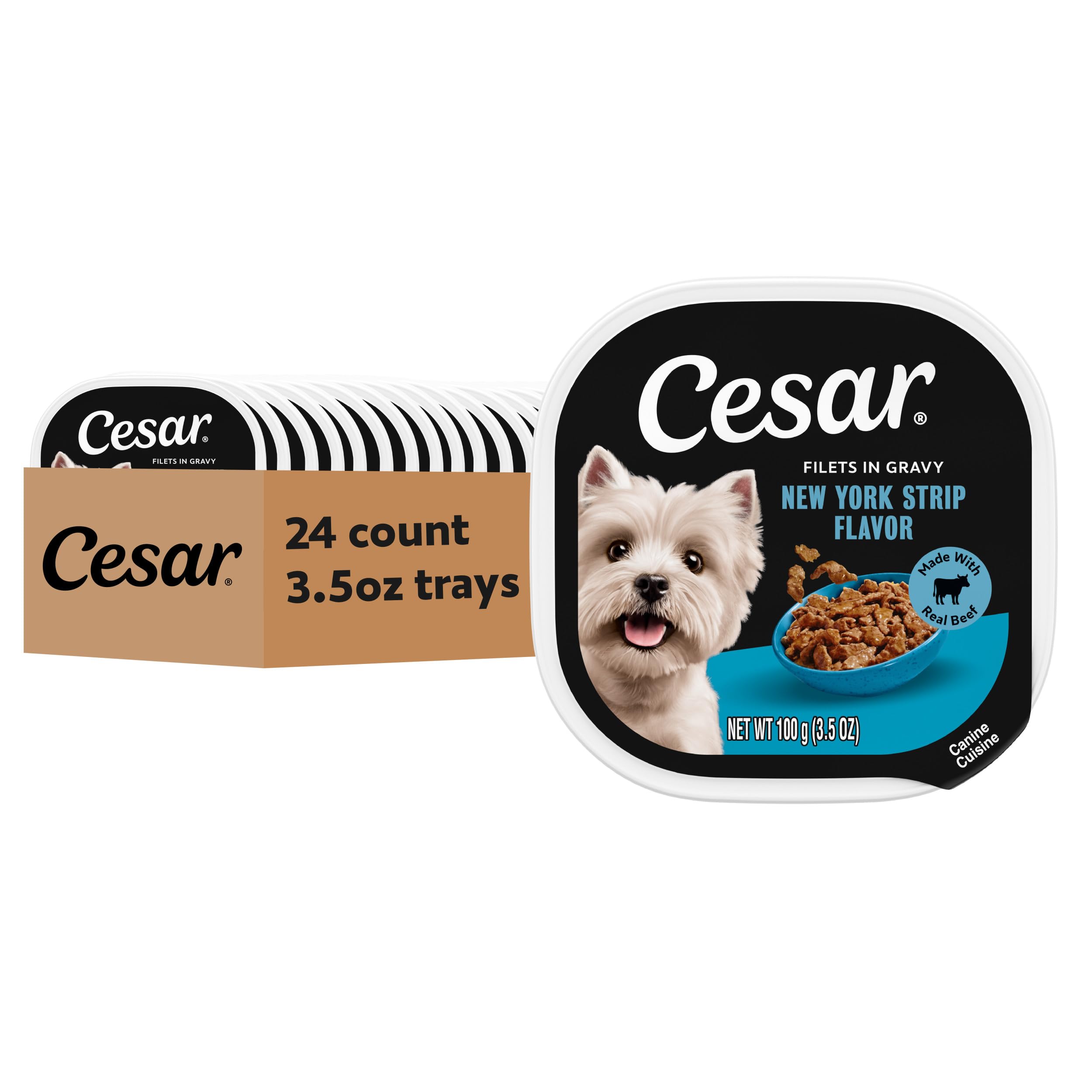 Cesar Filets in Gravy Wet Dog Food, New York Strip Flavor, 3.5 oz, 24 Count