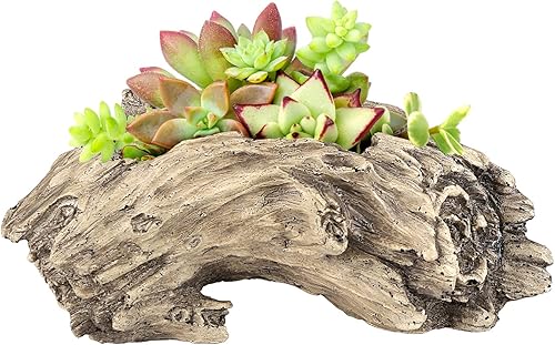 Miniatura 2 de Aclema Macetas suculentas de tocón, macetas para plantas de interior y exterior, bonito jarrón único de resina para jardín con orificio de drenaje