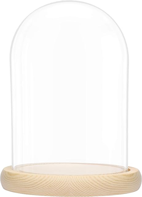 BELLE VOUS Large Glass Dome Cloche Bell Jar with Natural Wooden Base - 20cm/7.87 Inches - Clear Decorative Tabletop Display Case with Tray for Fairy Lights, Centrepieces and Antiques