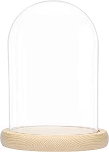 ADP Cloche En Verre Avec Socle En Bois Naturel 29429