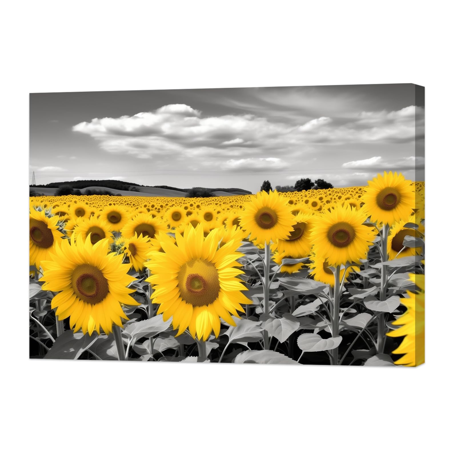 ZXHYWYM Sunflower Wall Art Black And White Sunflower Picture Yellow Floral Canvas Nature Flower Landscape Art Prints for Bathroom Kitchen Decor Framed (A, (40.00 x 60.00 cms)) โ image 1