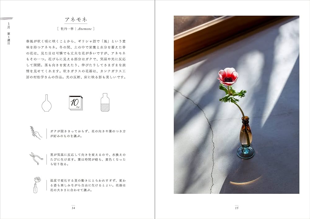 毎日、一輪。はじめて花・葉・枝を生ける人のための手引帖