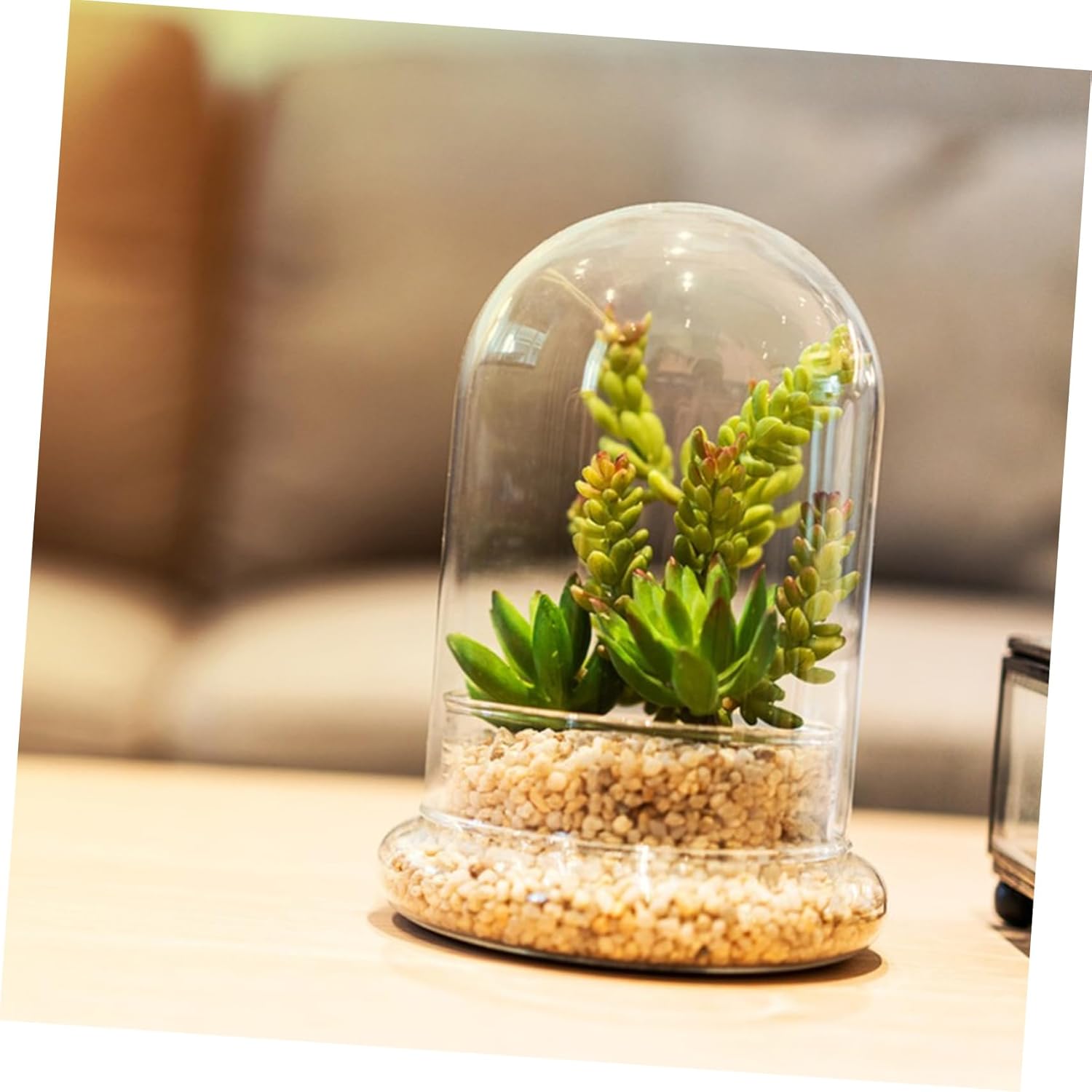 Terrarium Bell Jar 2pcs Bottle Landscape Holder 8mm Holes for Home Decoration