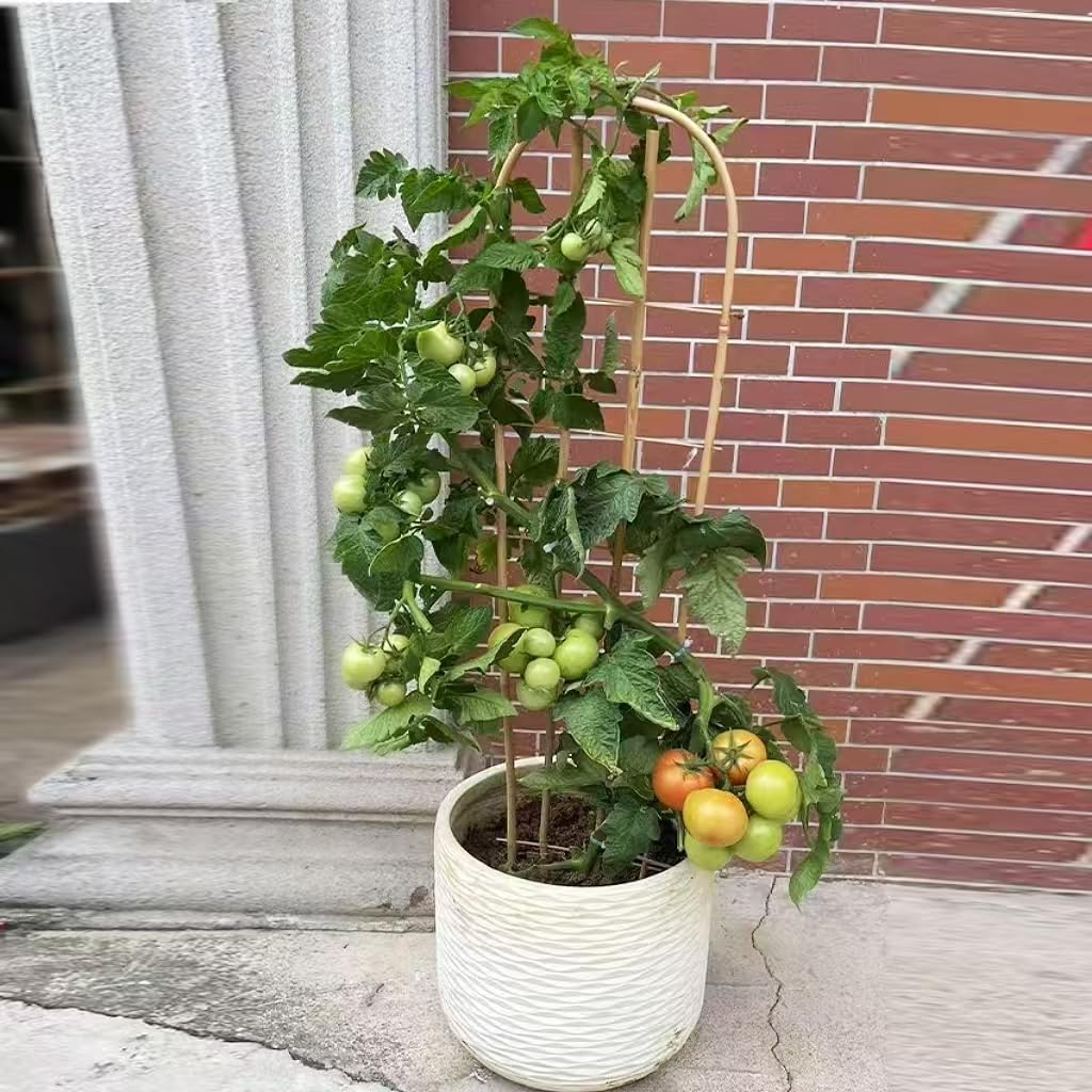 Enrejado de bambú en forma de U, enrejado redondo, enrejado de plantas, 24 pulgadas, para escalada en macetas en exteriores e interiores (forma de U, 3 pies, paquete de 3)