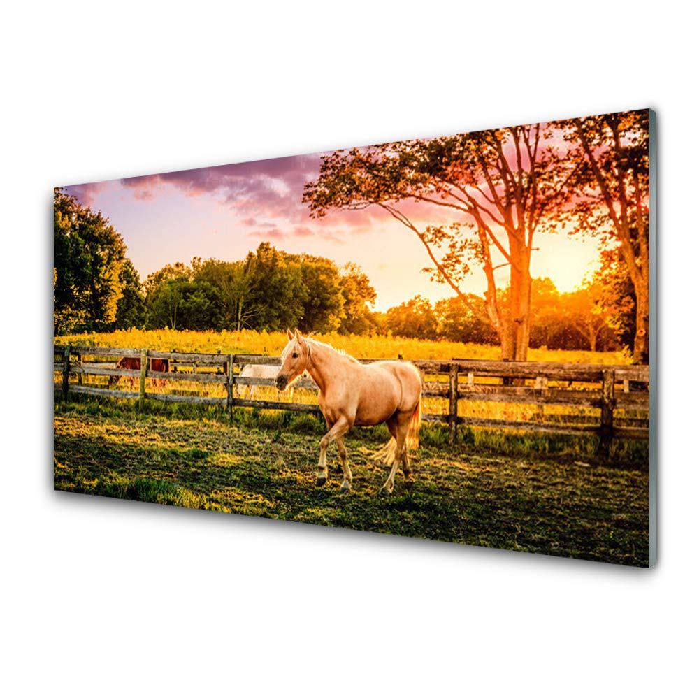Animaux meadow cheval imprimé sur verre trempé 100x50cm pour grand mur nu
