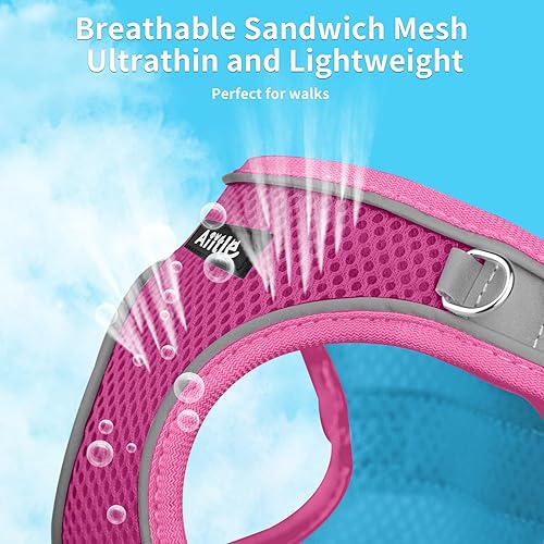 Miniatura 128 de AIITLE Arnés Escalonado para Perro y Juego de Correa - Chaleco Arnés a Prueba de Escape Sin Tirones con Malla Suave y Bandas Reflectantes, Arneses