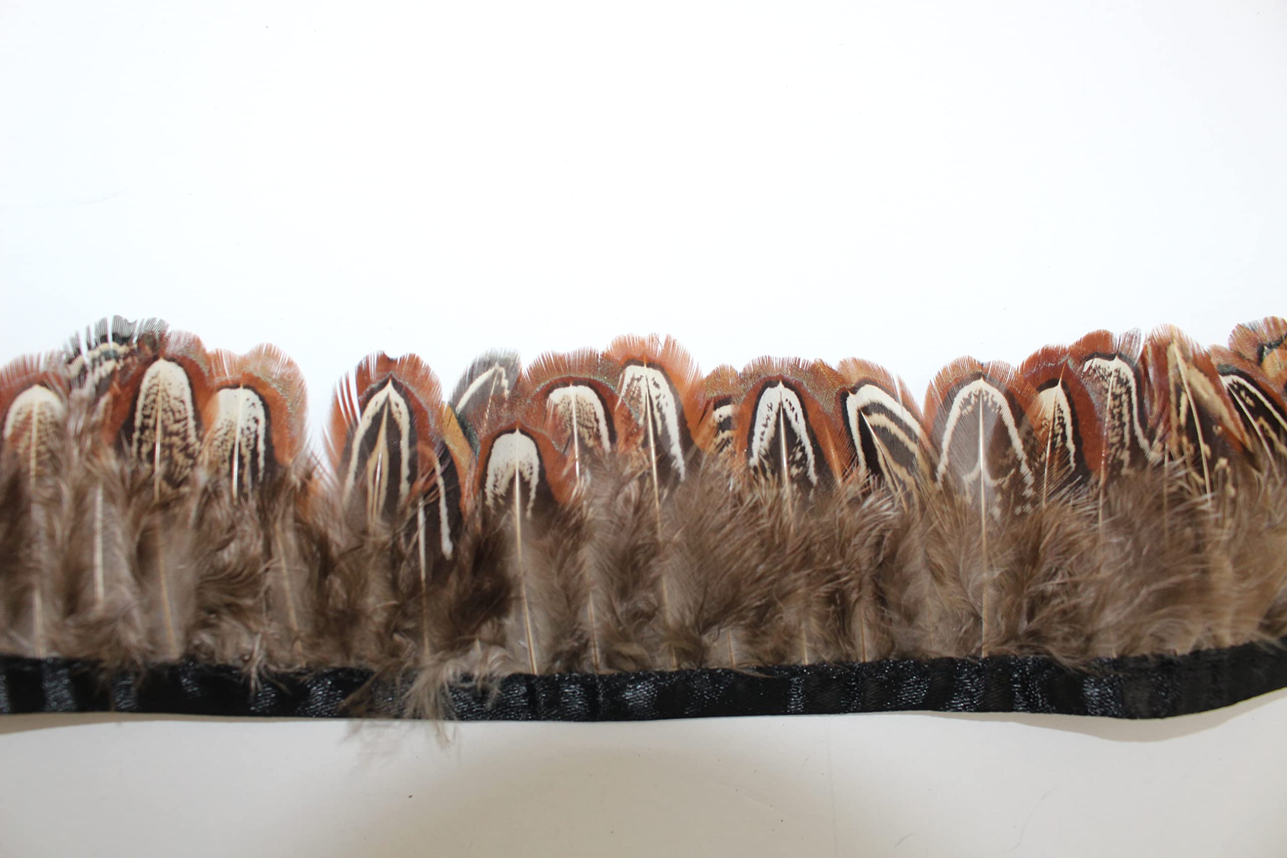 Natural Ringneck Pheasant Feather Trim Fringe,2 Yard LongAccessories Feather DIY Decorative (001)
