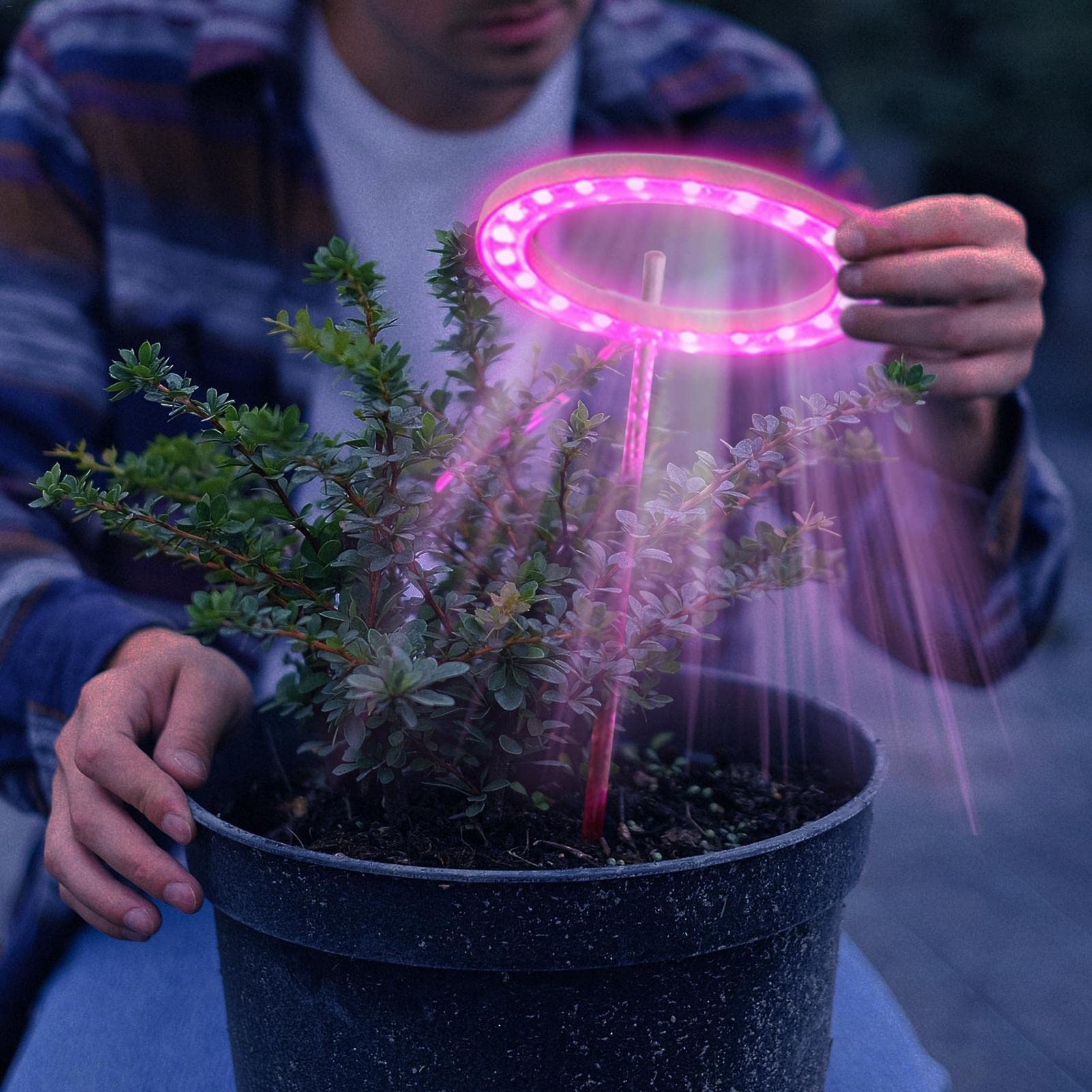 植物育成ライト　LEDグロウライト　110×120cm Amazon.co.jp: リンググロウライト - 屋内用フル スペクトラム