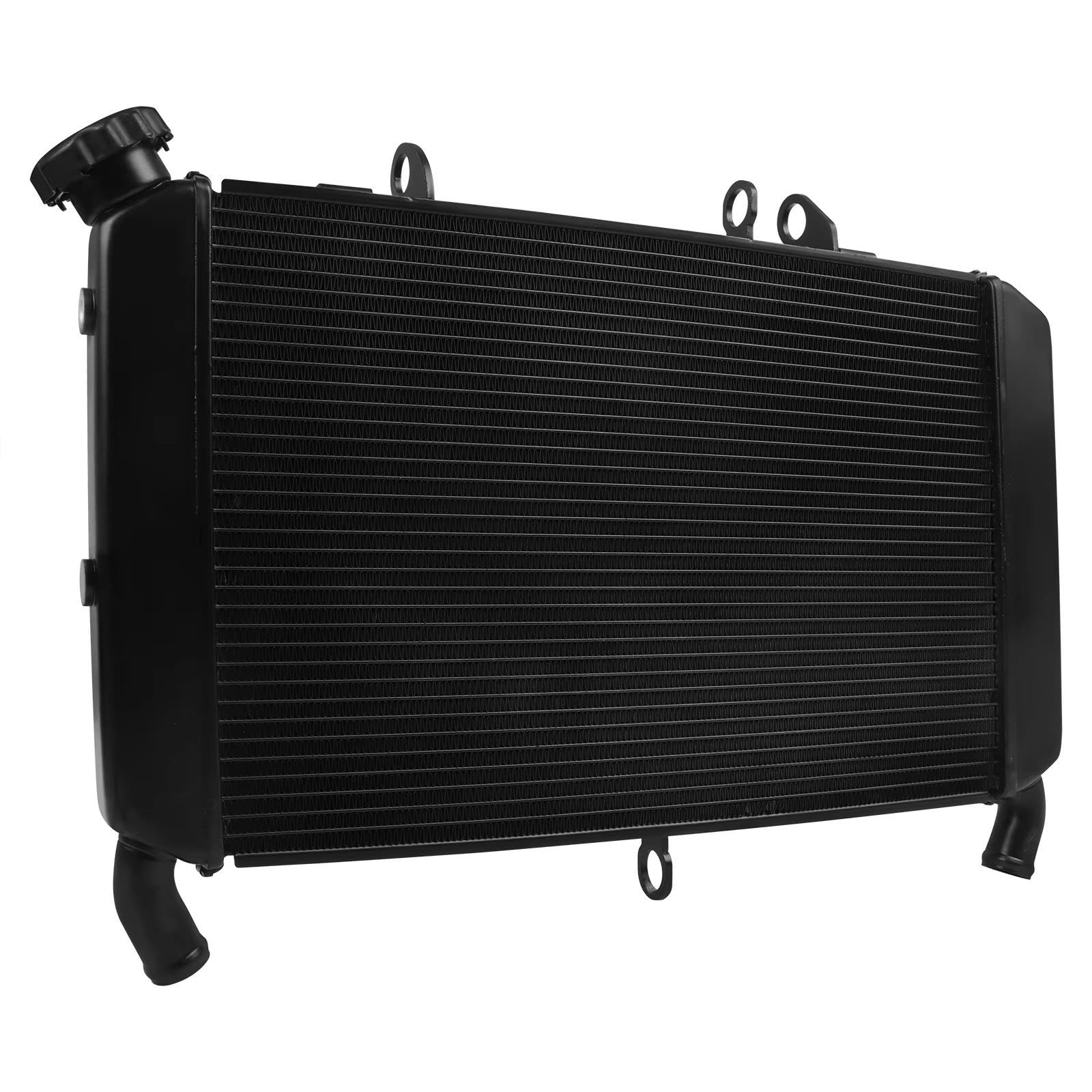 Serbatoio Espansione Liquido Refrigerante Moto Per Yamaha Per FZ09