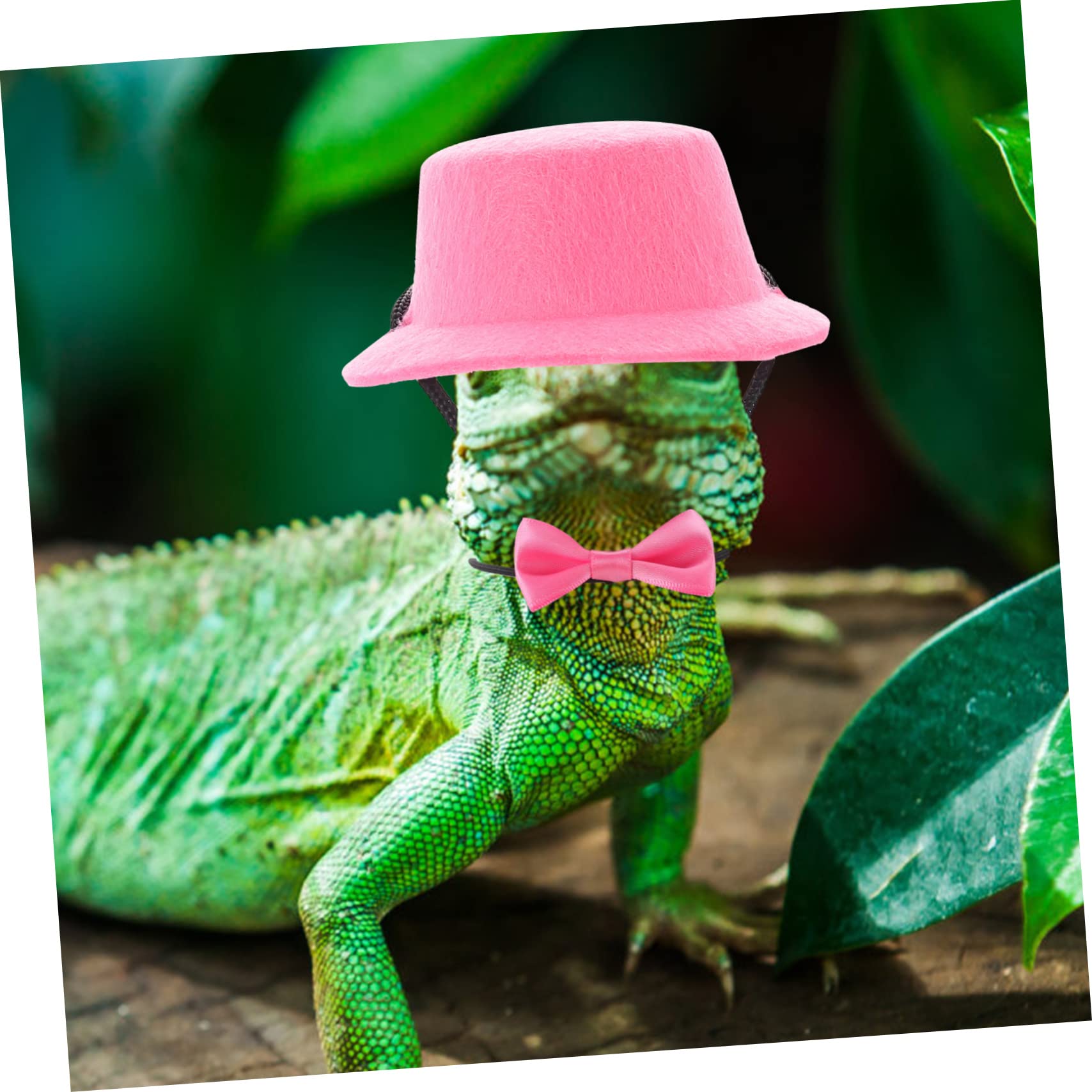 VANZACK 3sätze Lizard Mit Und Hut Einstellbares Geschirr Für Eidechsen Und Bartagamen Für Outdoor- Mit Ihrem