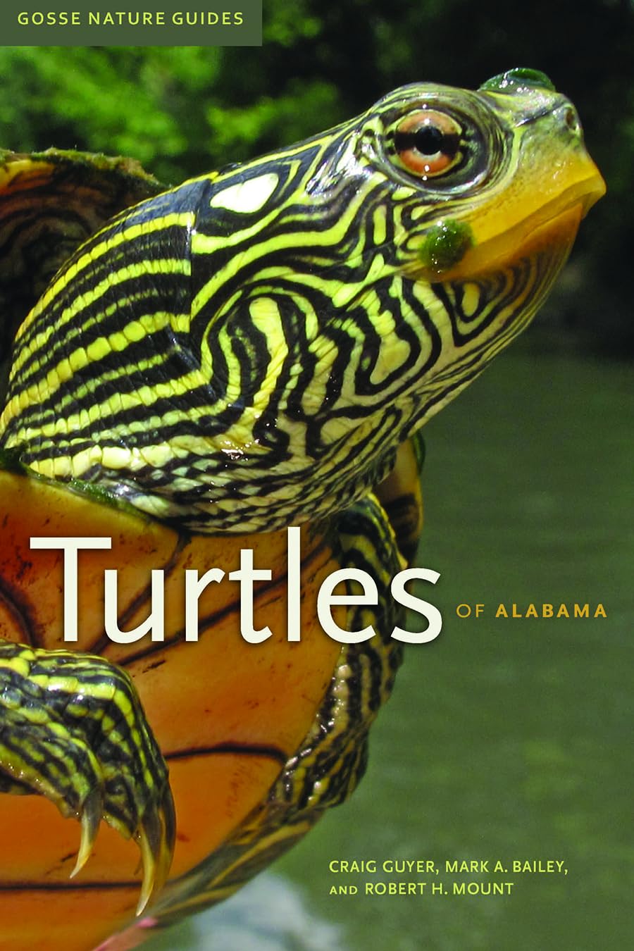 Turtles of Alabama by Craig Guyer, Mark A. Bailey, Robert H. ... - 9780817358068