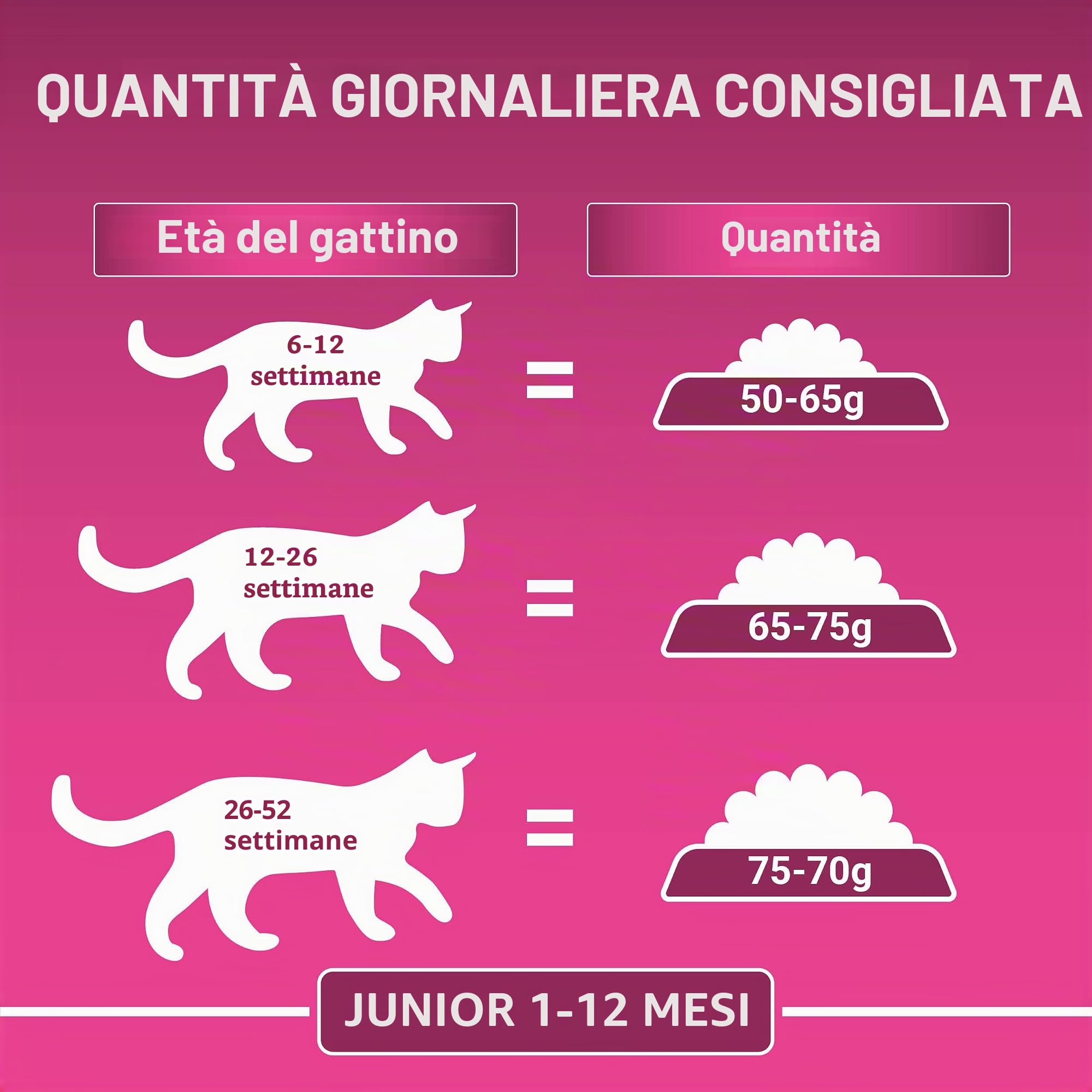 Purina ONE BIFENSIS Junior 1-12 Cibo per gatti, gattino, secco, ricco di pollo, confezione da 6 (6 x 750 g)