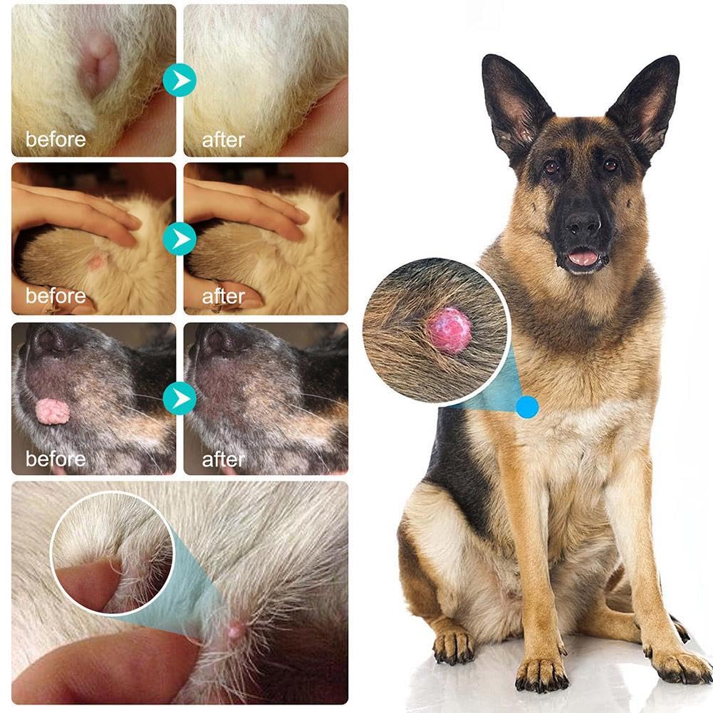 Traitement anti-verrues pour chien – Liquide à action rapide à base de plantes pour papillomes et imperfections canines, traitement de la peau des chiens et des verrues – 20 ml