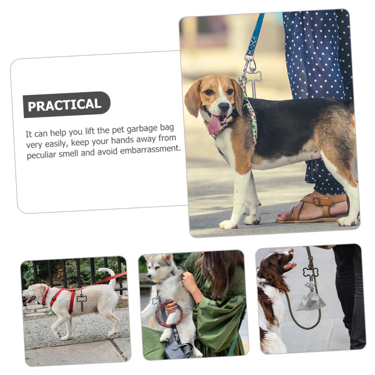 POPETPOP Lot De 4 Distributeurs De À Déjections Canines Haute Capacité 10 Pièces X 4