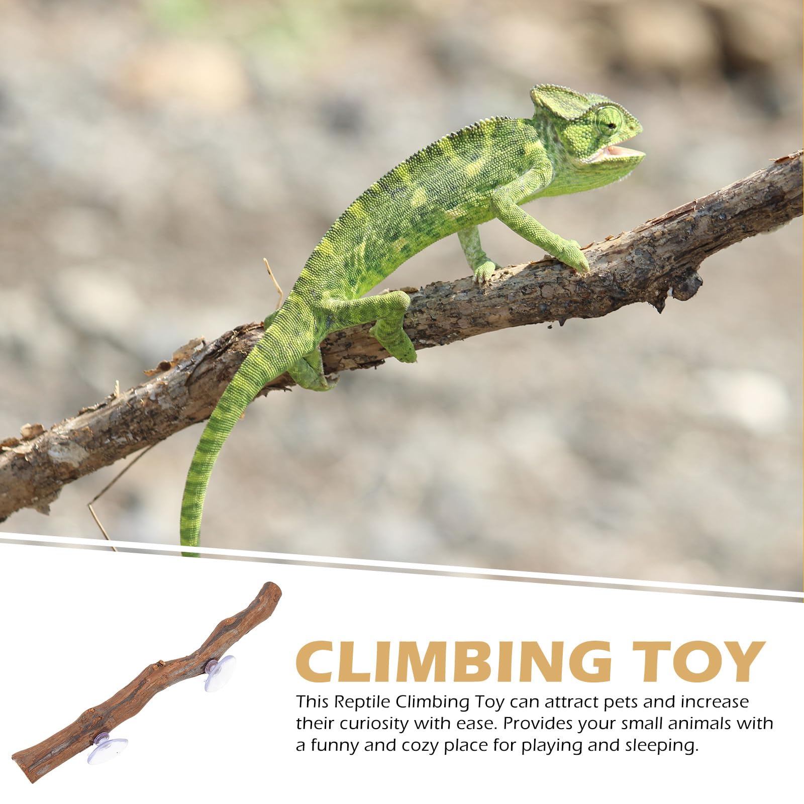 Ciieeo Rama de Madera Juguete de Escalada Seguro y Redondo para Reptiles Ventosa para Dragón Barbudo y Reptiles en Terrarios