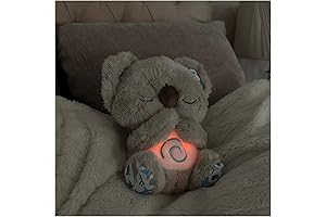 The Evoraco Sleeping Koala: Your Path to Unparalleled Relaxation