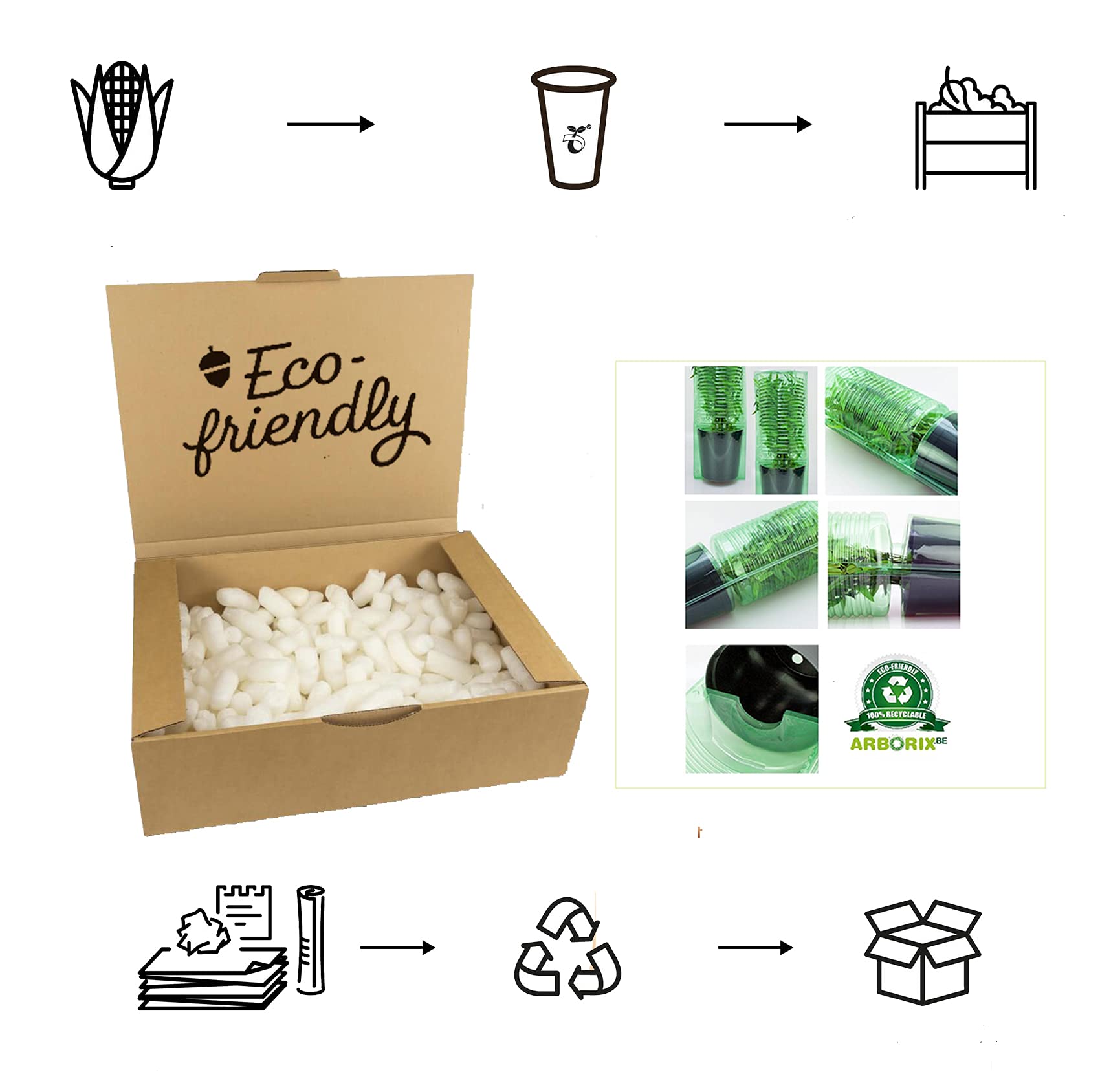 MAHONIA Media WINTER SUN (Mahonia